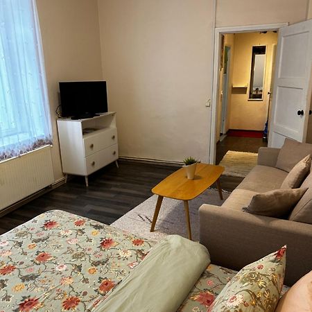 1 Bedroom Apartment Near Kadriorg Swan Pond تالين المظهر الخارجي الصورة