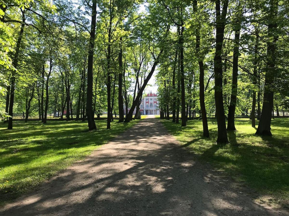 1 Bedroom Apartment Near Kadriorg Swan Pond تالين المظهر الخارجي الصورة