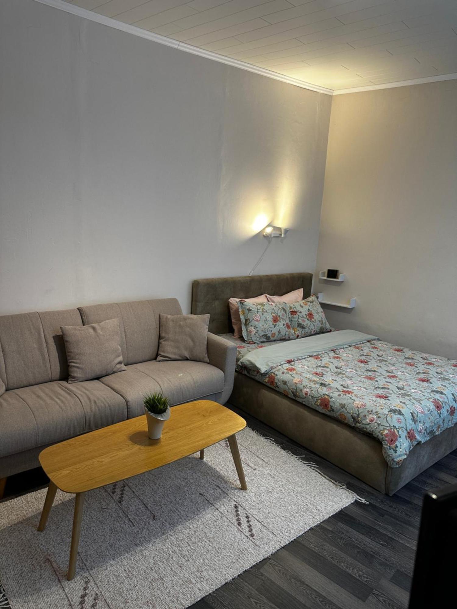 1 Bedroom Apartment Near Kadriorg Swan Pond تالين المظهر الخارجي الصورة